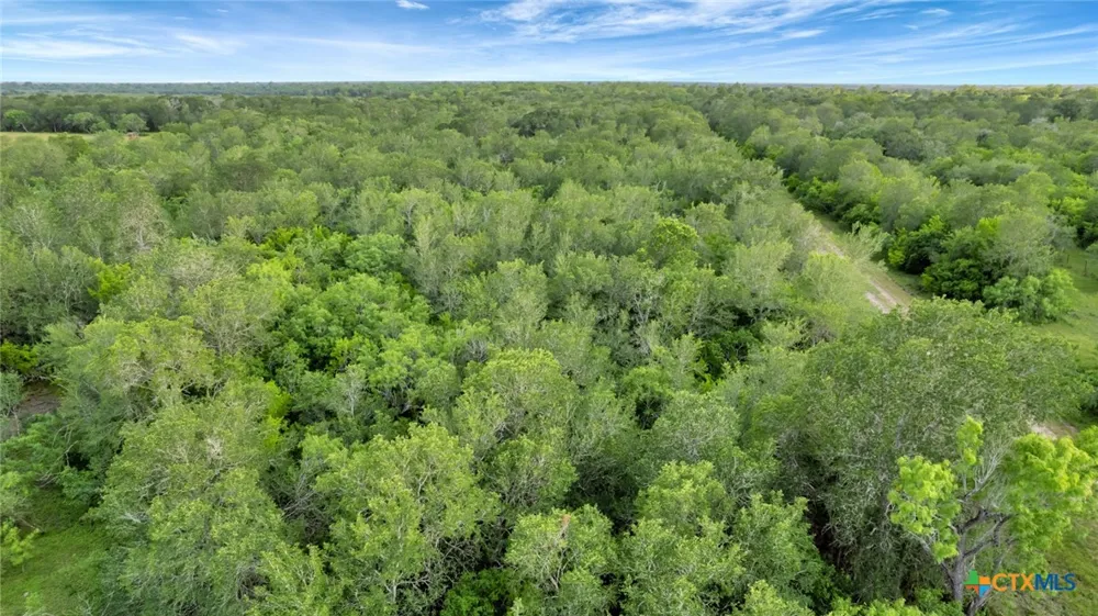 San Antonio River Road Victoria, TX 77905