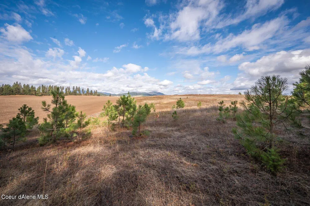NKA 10AC Becky Lane Worley, ID 83876