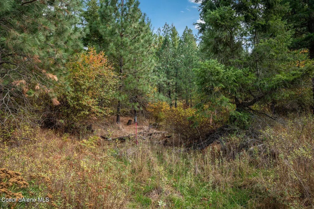 NKA 10AC Becky Lane Worley, ID 83876