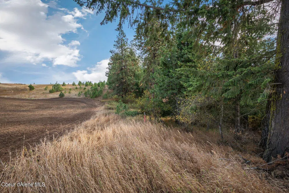 NKA 10AC Becky Lane Worley, ID 83876