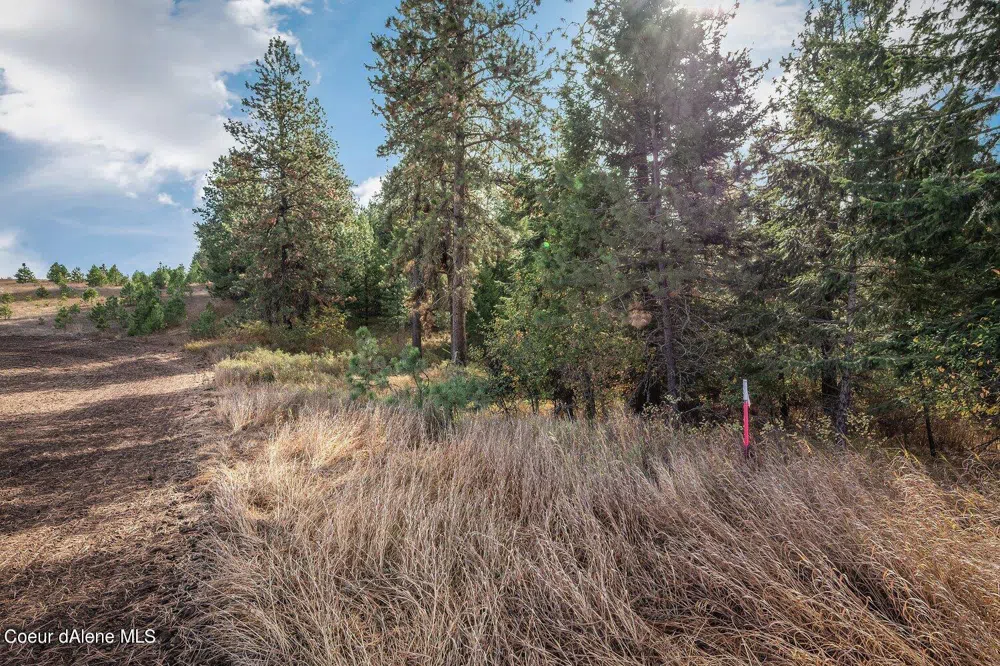 NKA 10AC Becky Lane Worley, ID 83876