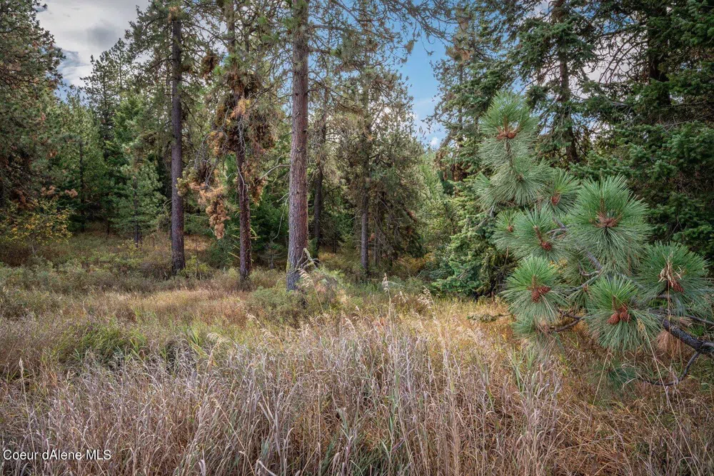 NKA 10AC Becky Lane Worley, ID 83876