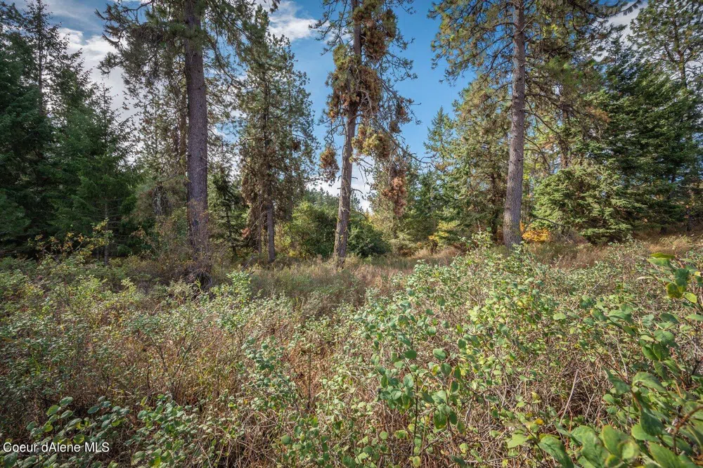 NKA 10AC Becky Lane Worley, ID 83876