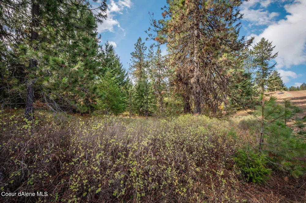 NKA 10AC Becky Lane Worley, ID 83876