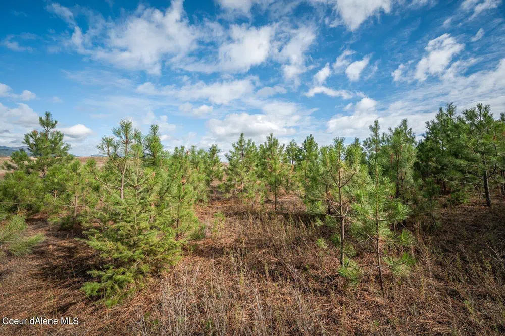 NKA 10AC Becky Lane Worley, ID 83876