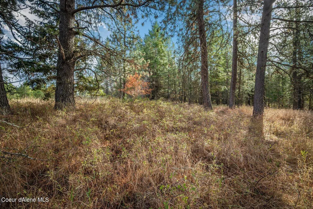 NKA 10AC Becky Lane Worley, ID 83876