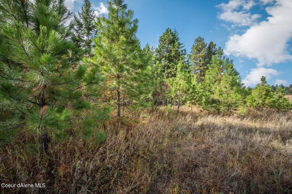 NKA 10AC Becky Lane Worley, ID 83876