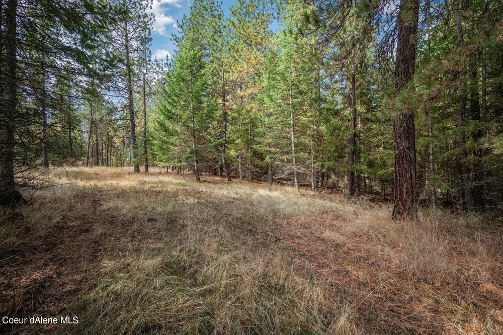 NKA 10AC Becky Lane Worley, ID 83876