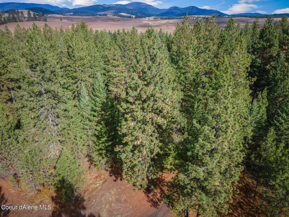 NKA 10AC Becky Lane Worley, ID 83876