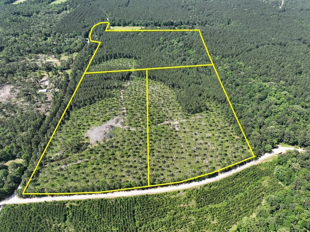 38 Groveton Flat Prairie Rd Groveton, TX 75854