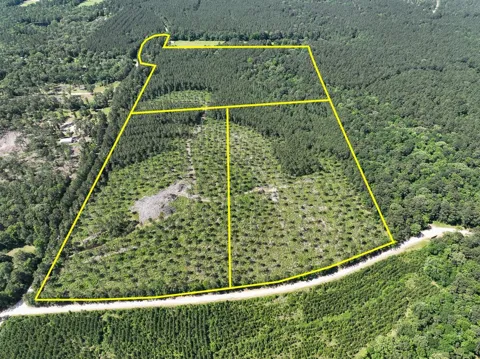 38 Groveton Flat Prairie Rd