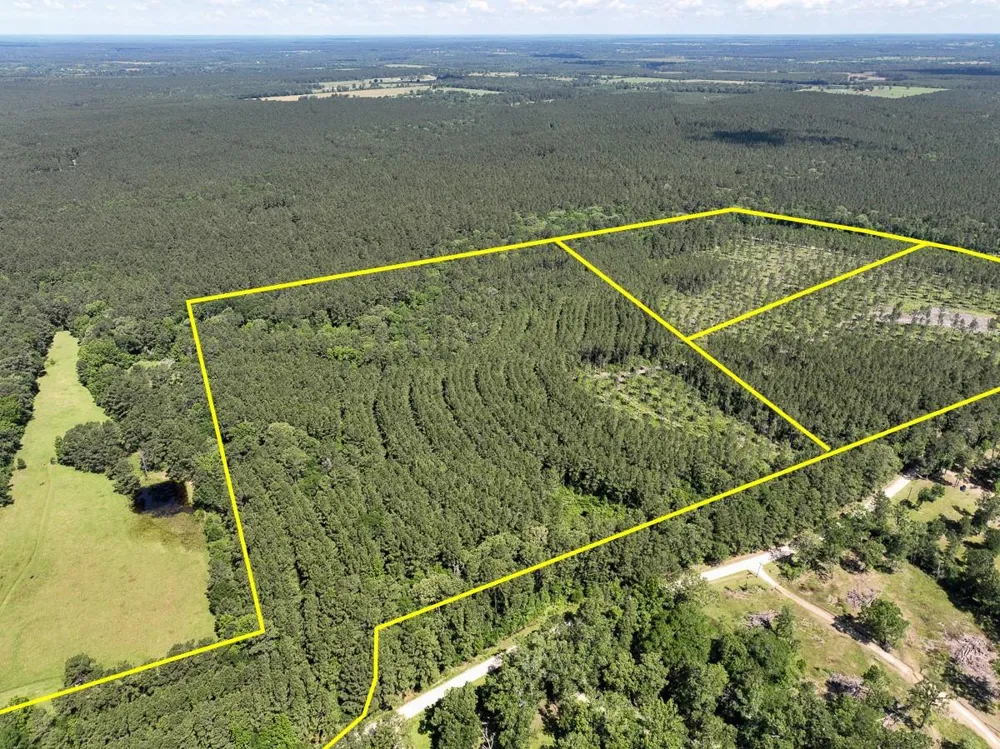 38 Groveton Flat Prairie Rd Groveton, TX 75854