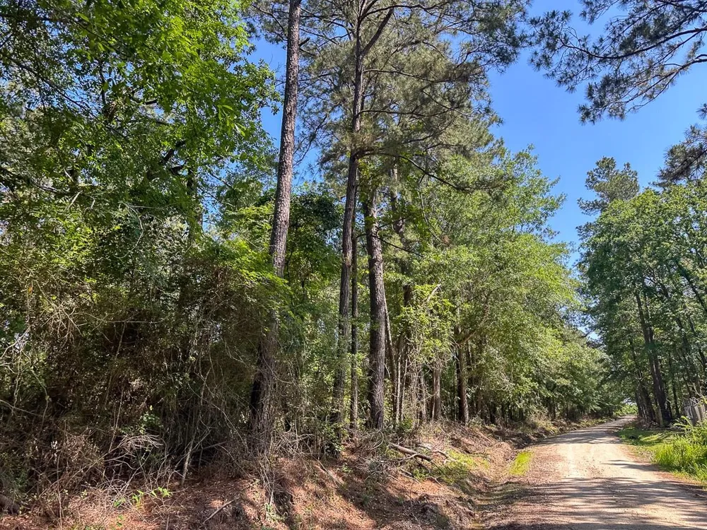 38 Groveton Flat Prairie Rd Groveton, TX 75854