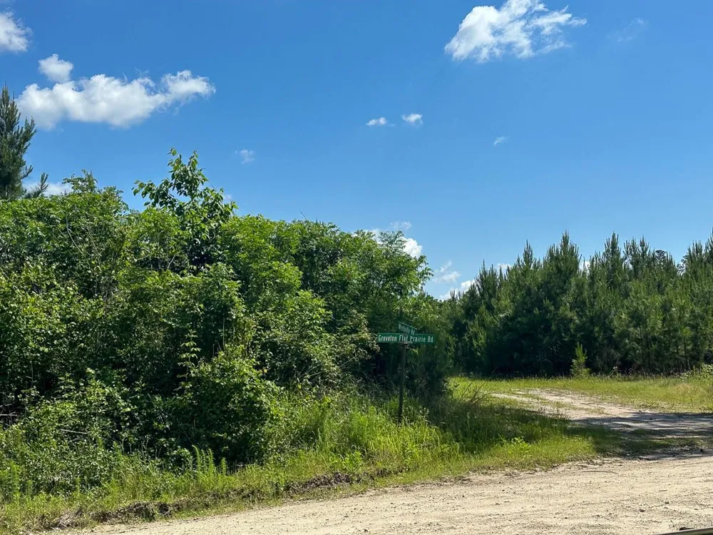 38 Groveton Flat Prairie Rd Groveton, TX 75854