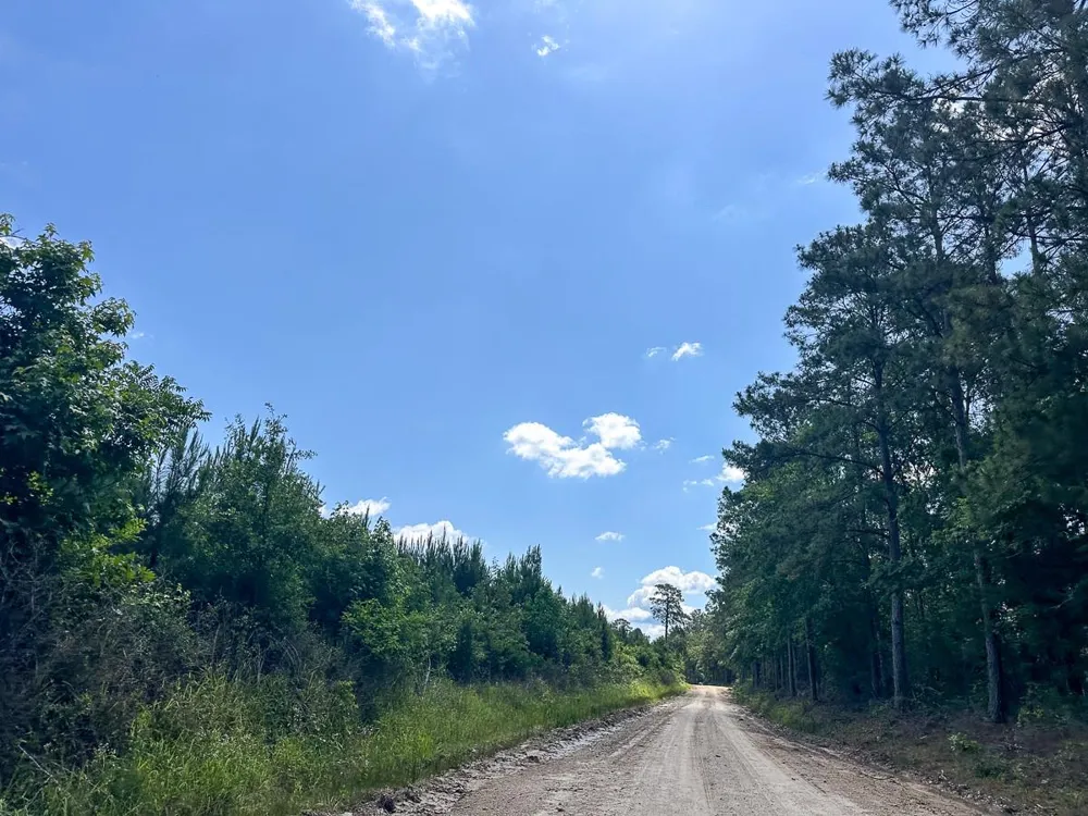 38 Groveton Flat Prairie Rd Groveton, TX 75854
