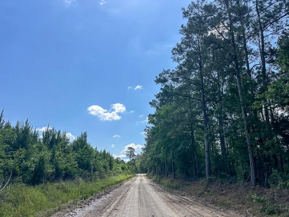 38 Groveton Flat Prairie Rd Groveton, TX 75854