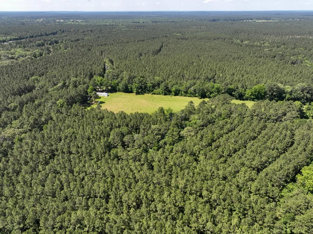 38 Groveton Flat Prairie Rd Groveton, TX 75854