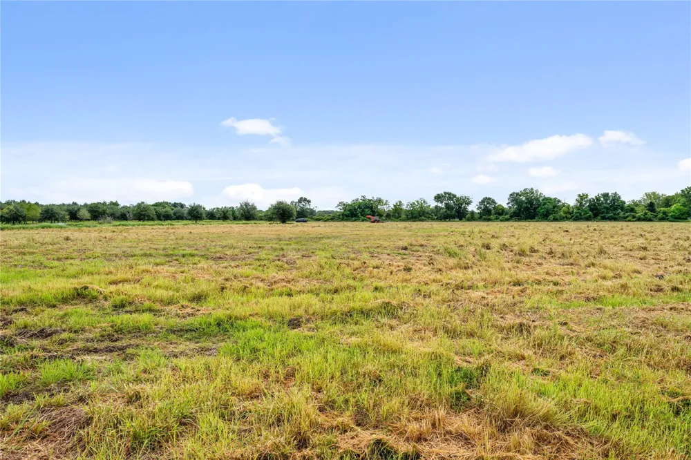 23111 Fm 1462 Road Damon, TX 77430