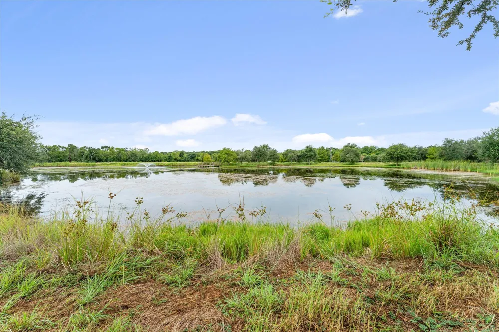 23111 Fm 1462 Road Damon, TX 77430