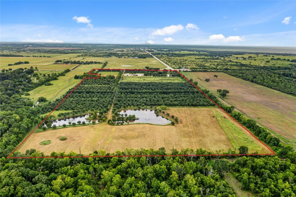 23111 Fm 1462 Road Damon, TX 77430