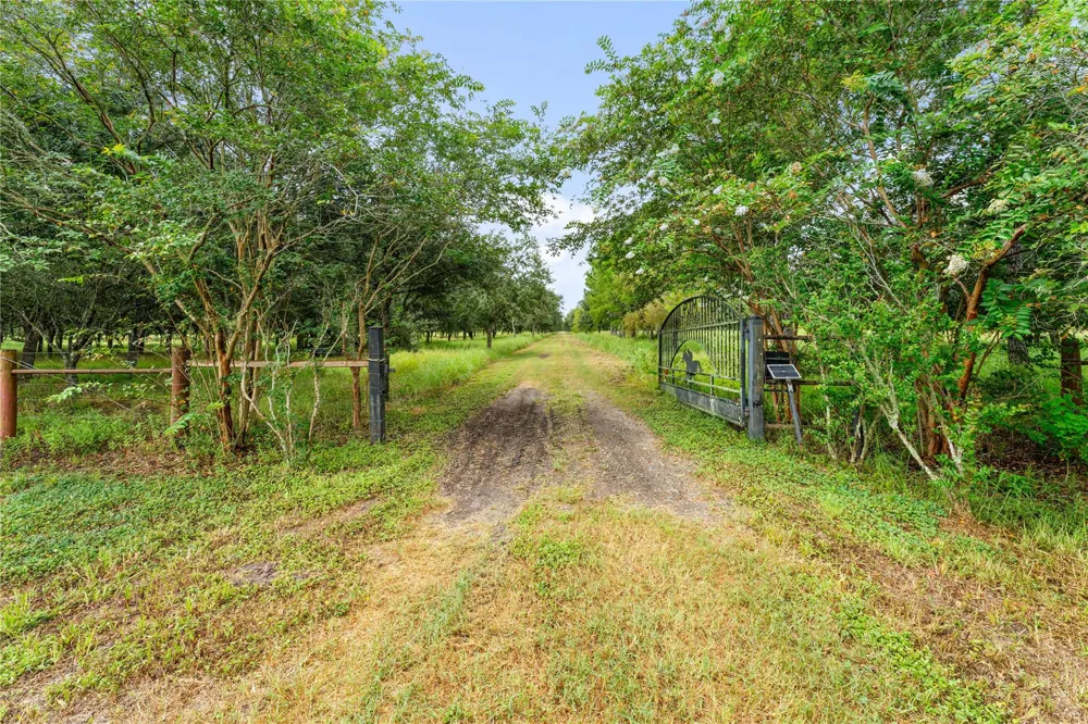 23111 Fm 1462 Road Damon, TX 77430