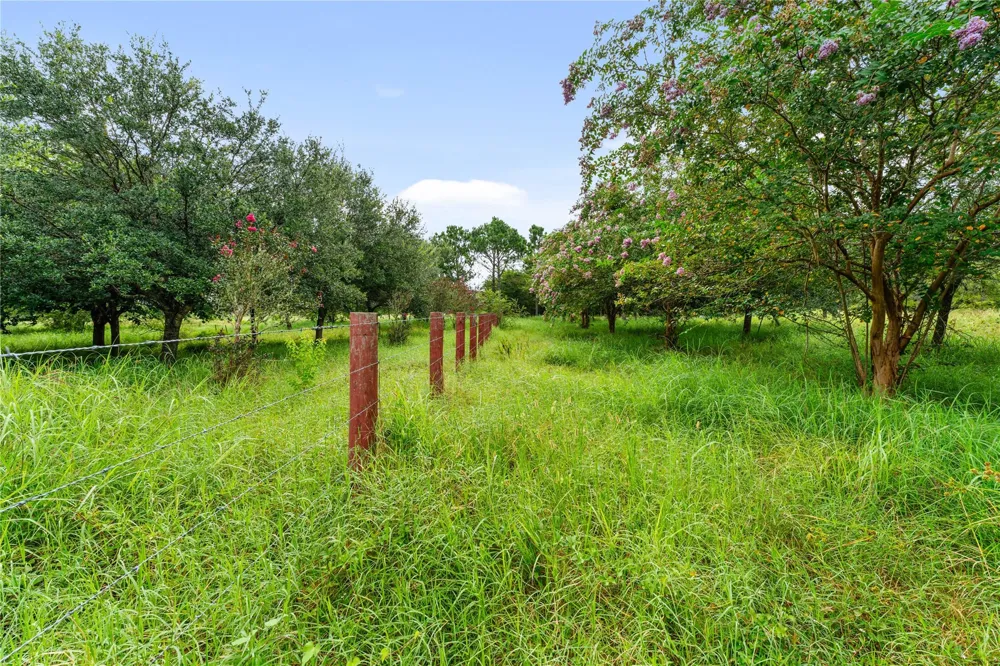 23111 Fm 1462 Road Damon, TX 77430