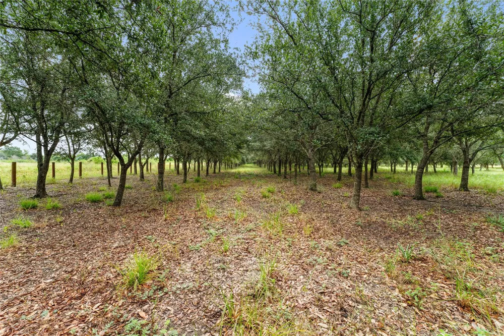 23111 Fm 1462 Road Damon, TX 77430