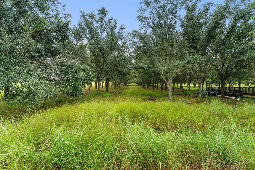 23111 Fm 1462 Road Damon, TX 77430