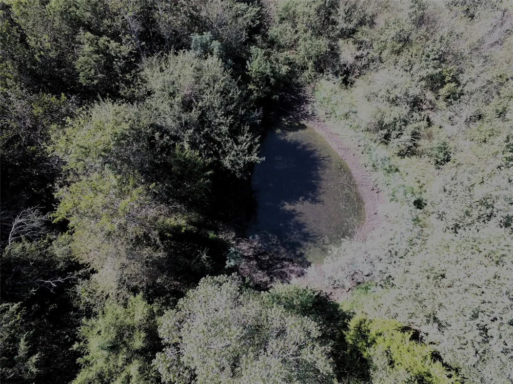 Fm 1371 Chappell Hill, TX 77426