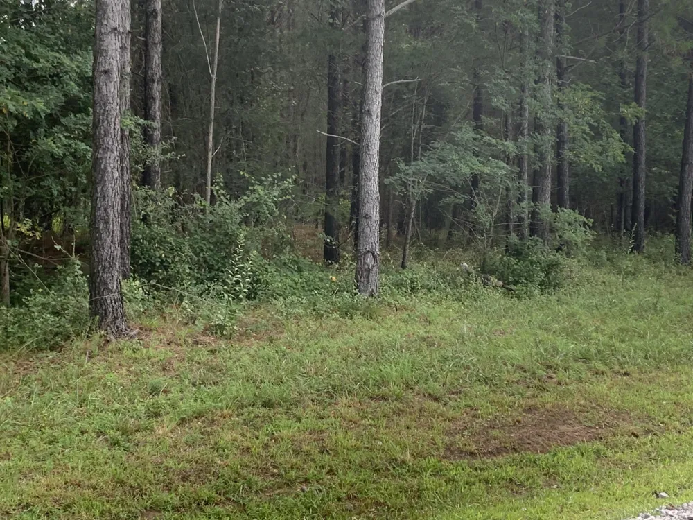 4910 Raulston Falls Road Jasper, TN 37347