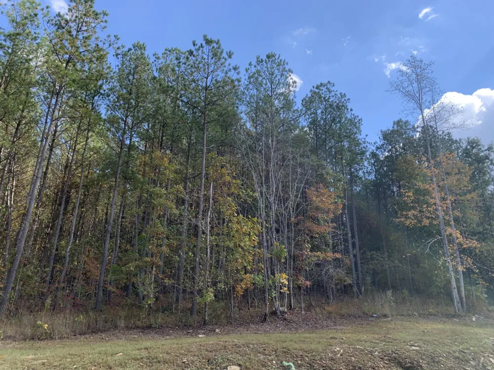 4910 Raulston Falls Road Jasper, TN 37347