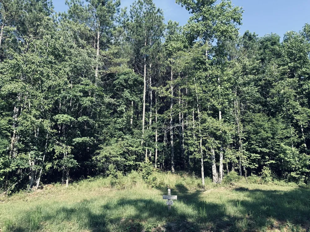 4910 Raulston Falls Road Jasper, TN 37347