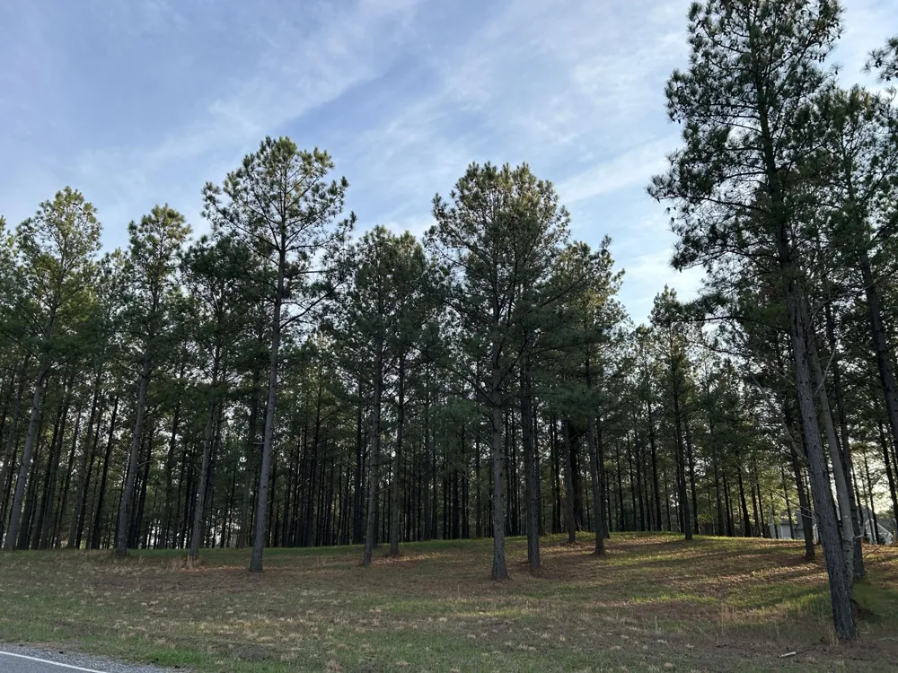 362 Cumberland Circle Jasper, TN 37347