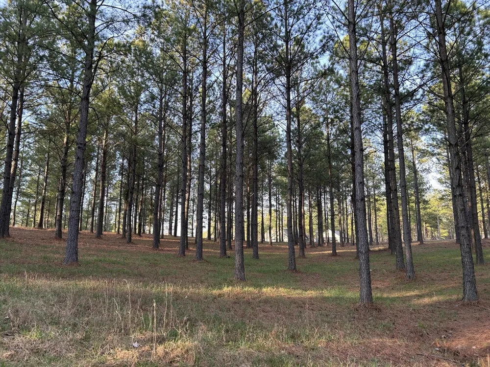 362 Cumberland Circle Jasper, TN 37347