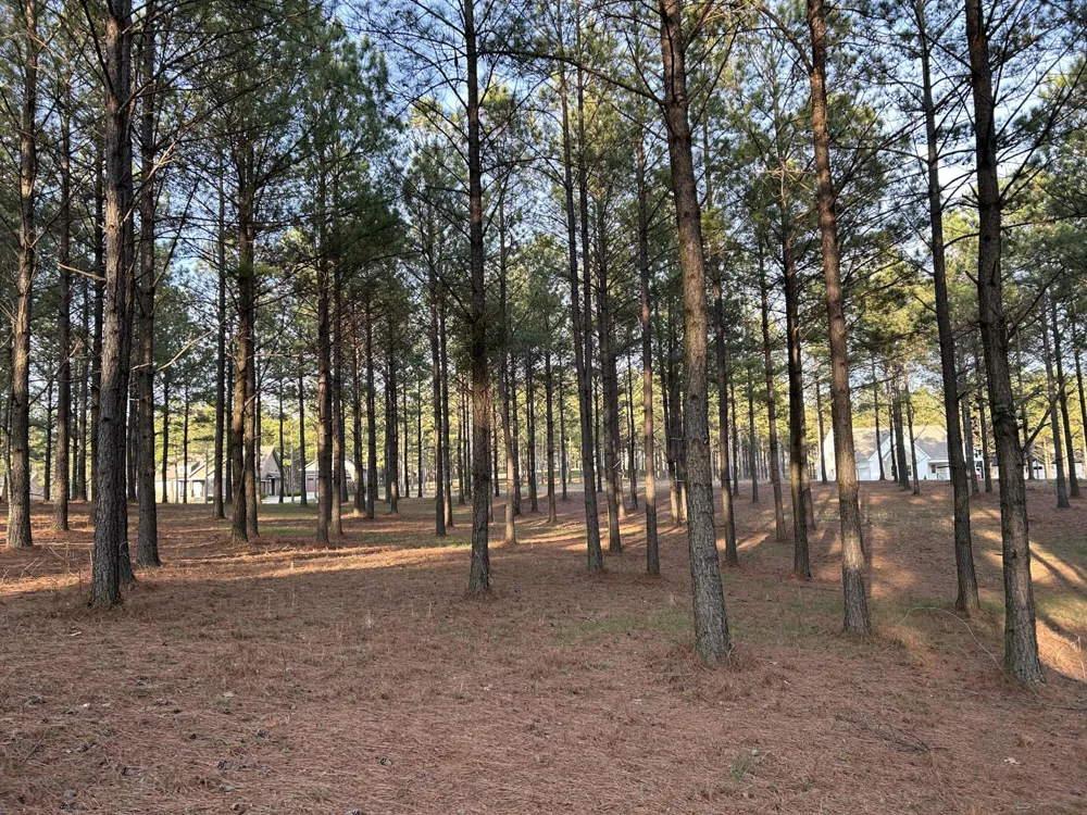 362 Cumberland Circle Jasper, TN 37347