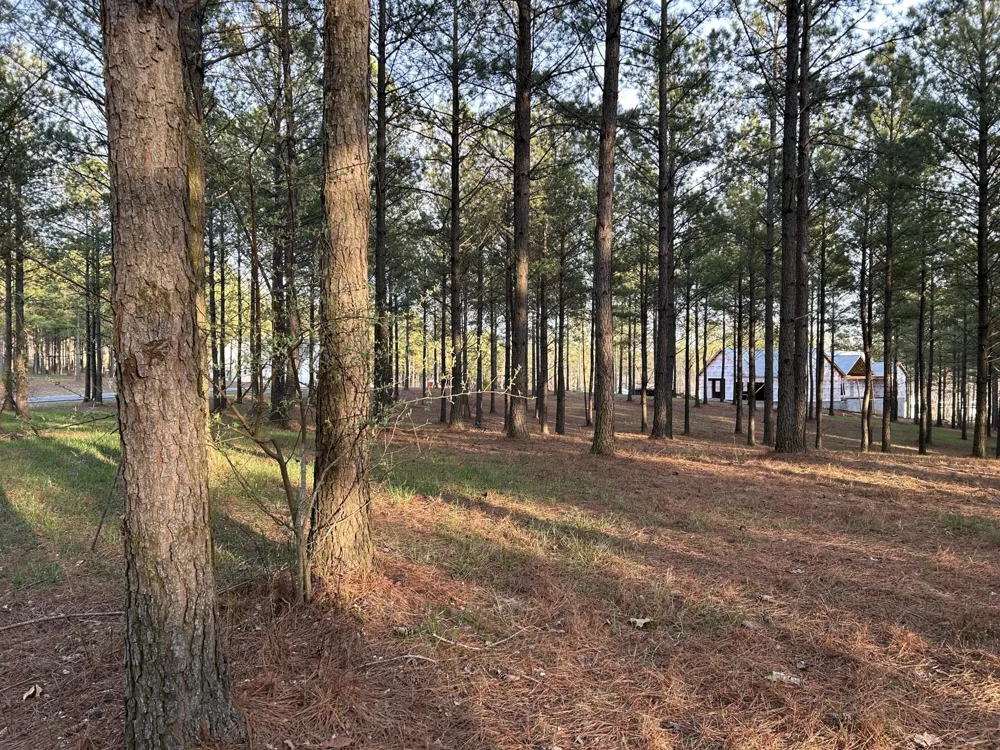 362 Cumberland Circle Jasper, TN 37347