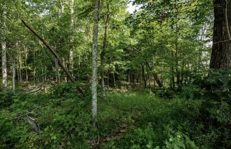 595 Compass Drive Jasper, TN 37347