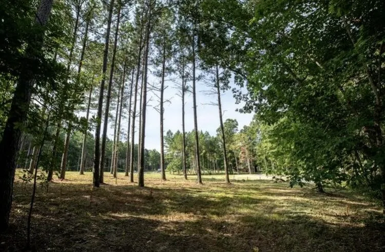 595 Compass Drive Jasper, TN 37347