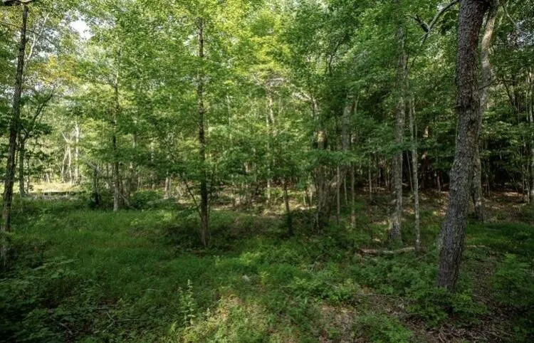 595 Compass Drive Jasper, TN 37347