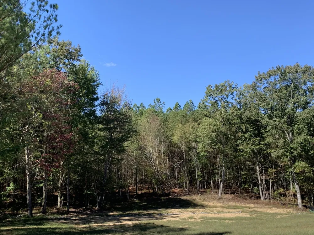 595 Compass Drive Jasper, TN 37347