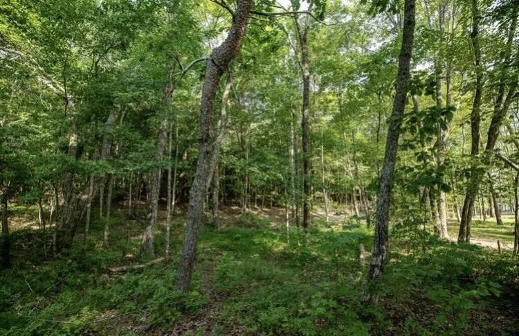 595 Compass Drive Jasper, TN 37347
