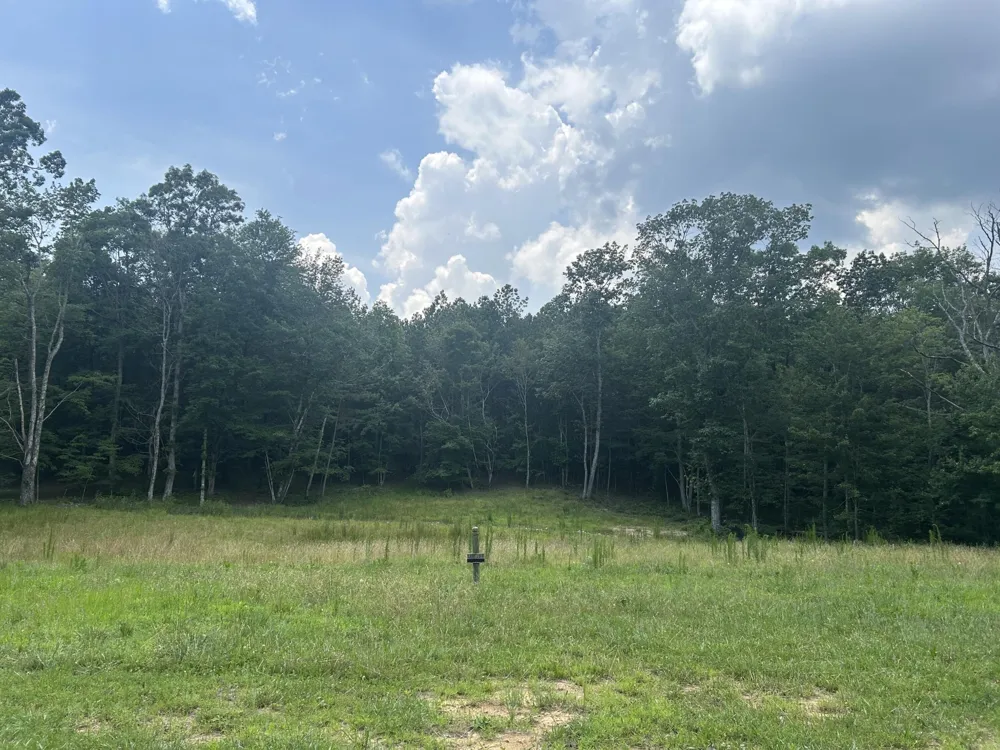 595 Compass Drive Jasper, TN 37347