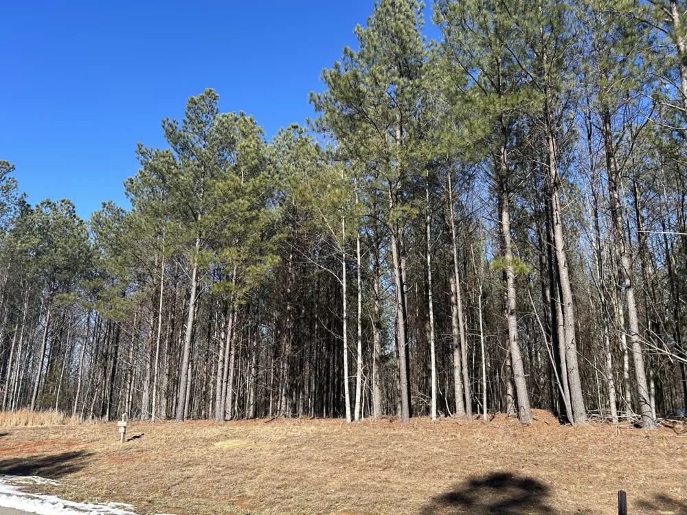 320 Waterwheel Way Jasper, TN 37347