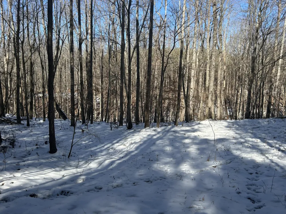 320 Waterwheel Way Jasper, TN 37347