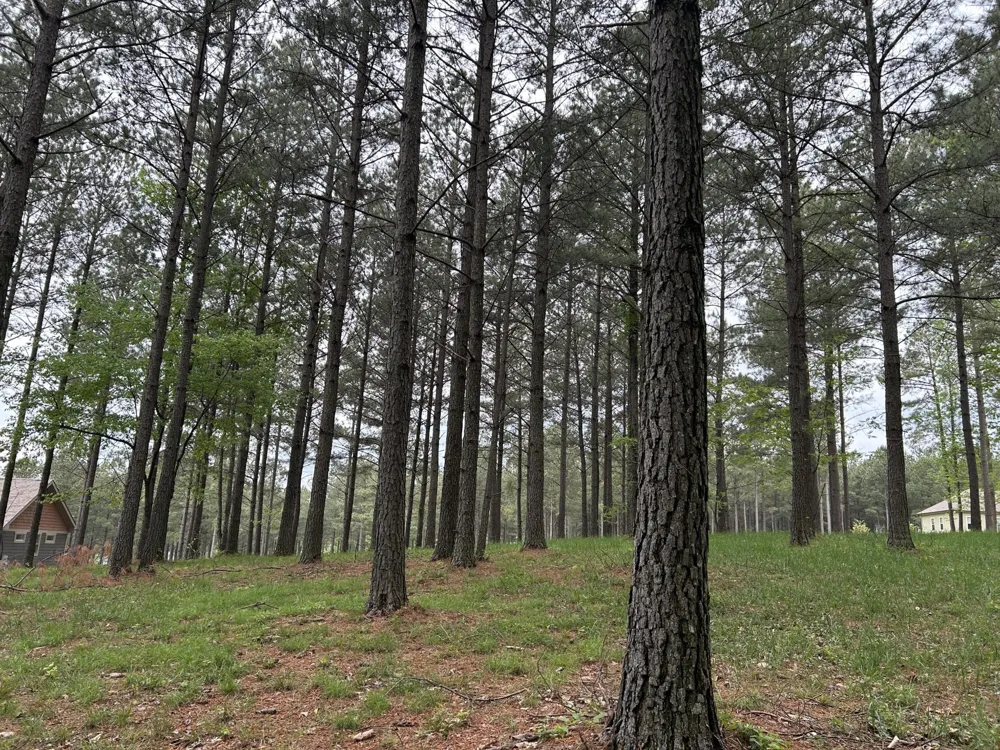 140 Foxtrot Lane Jasper, TN 37347