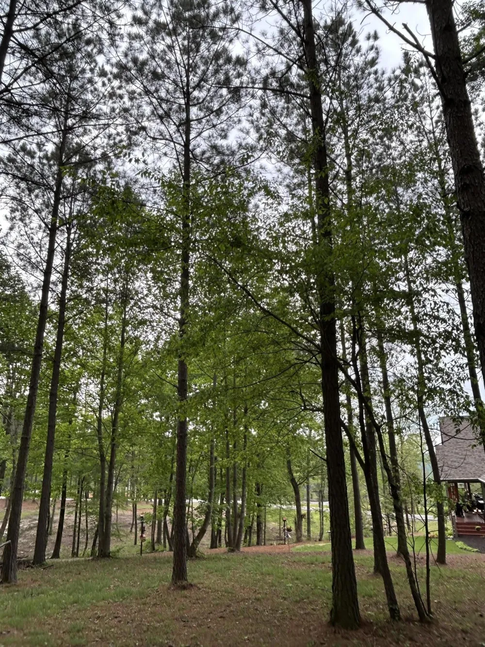 140 Foxtrot Lane Jasper, TN 37347