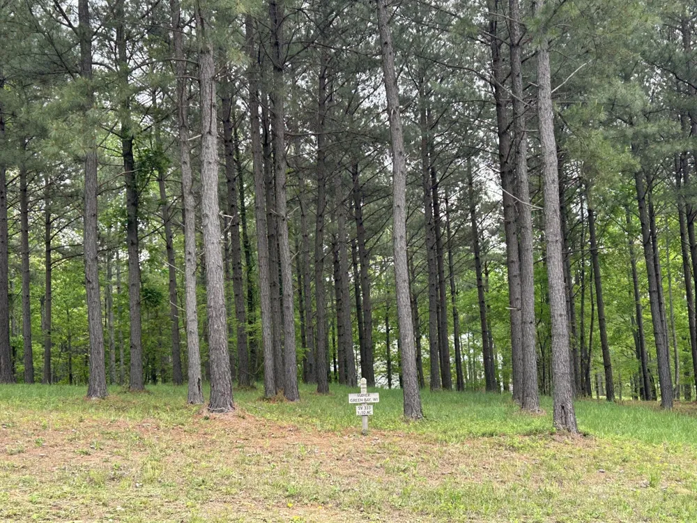 140 Foxtrot Lane Jasper, TN 37347