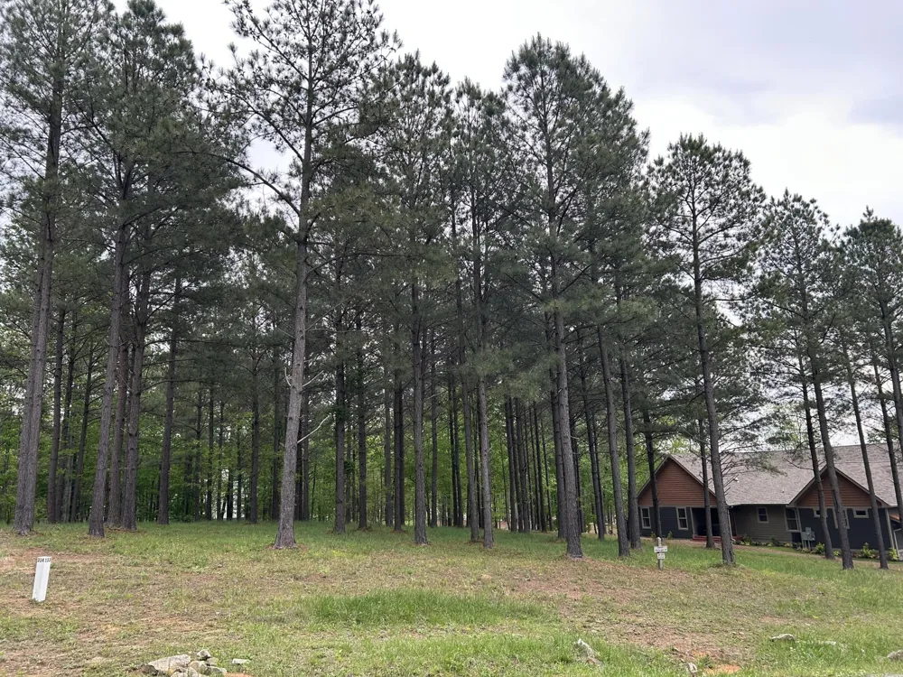 140 Foxtrot Lane Jasper, TN 37347