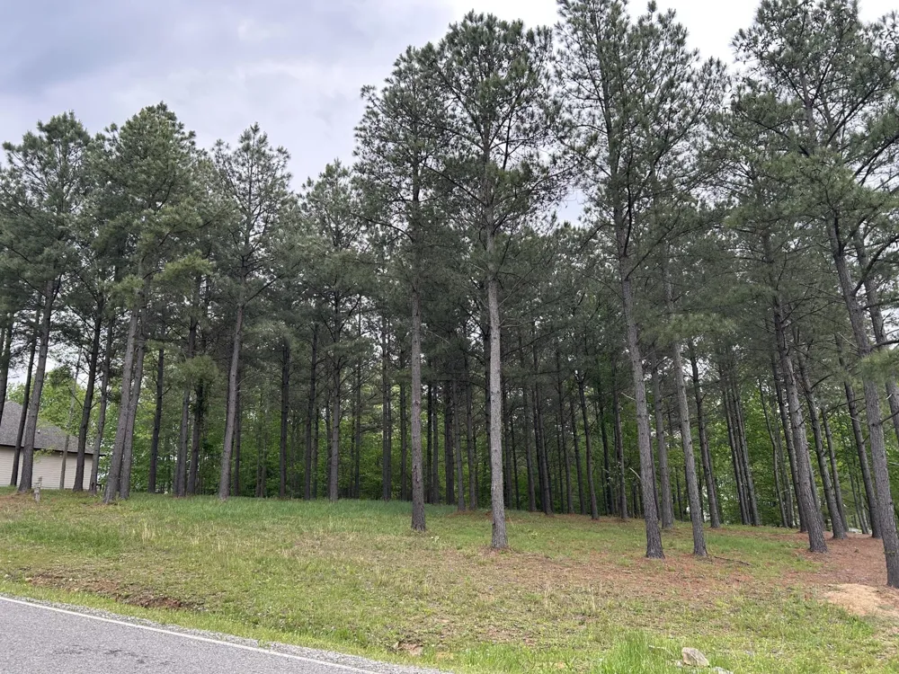 140 Foxtrot Lane Jasper, TN 37347