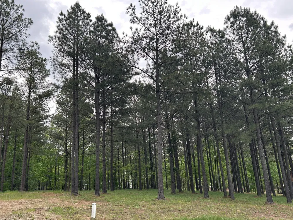 140 Foxtrot Lane Jasper, TN 37347